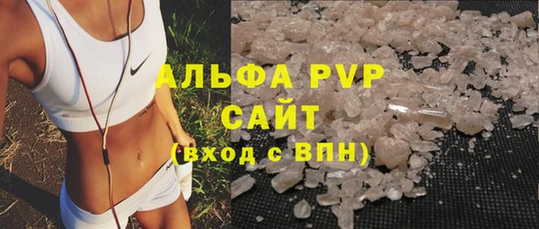 дживик Новозыбков