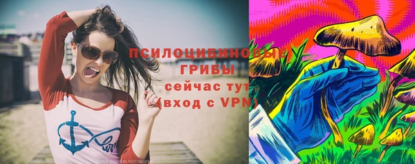 ПСИЛОЦИБИНОВЫЕ ГРИБЫ Нея