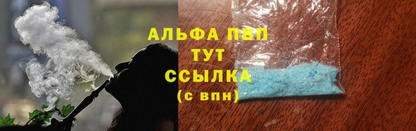дживик Новозыбков