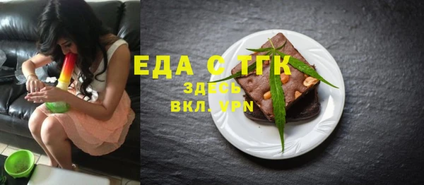 индика Горняк