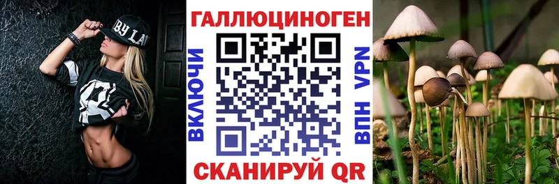 Псилоцибиновые грибы мицелий  купить закладку  KRAKEN маркетплейс  Кизляр 