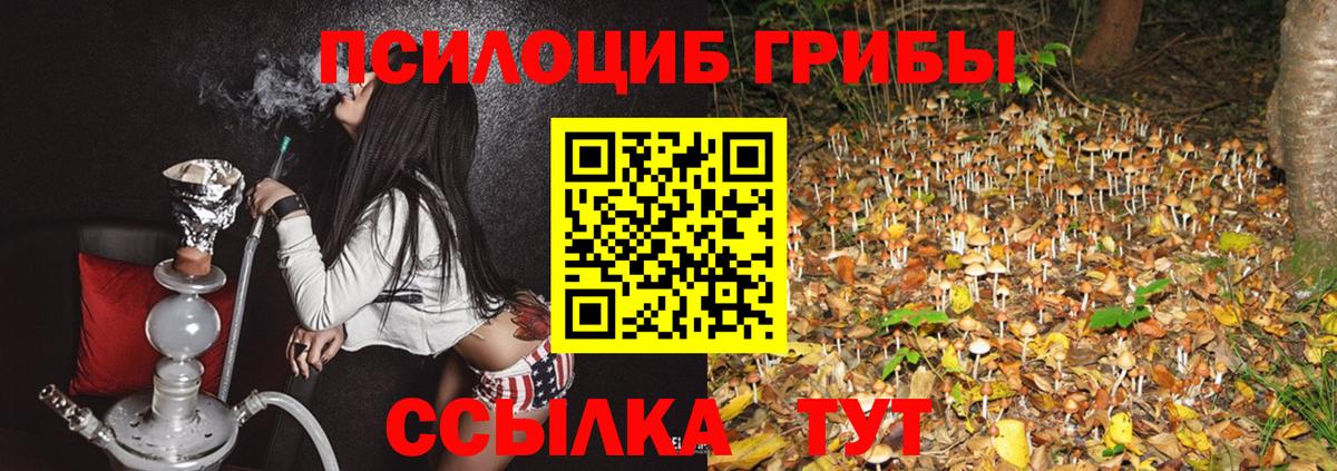 Кизляр  Галлюциногенные грибы GOLDEN TEACHER  Вход с VPN  Галлюциногенные грибы мицелий 