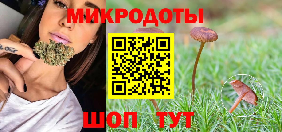 Псилоцибиновые грибы мицелий Кизляр
